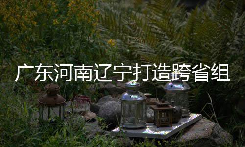 宁接力河南打造队广东三省有望辽宁组合泽涛入选跨省